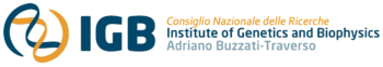 Logo IGB