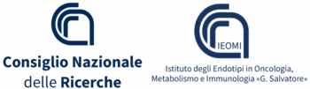 Logo trasparente copia 1 - Copia